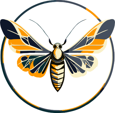 Logo Kaso Creates. Stilisierte Vektorgrafik einer Motte in Orange, Schwarz und Grautönen